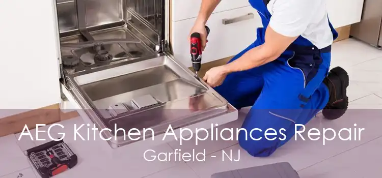 AEG Kitchen Appliances Repair Garfield - NJ