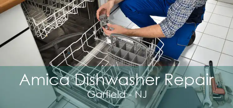 Amica Dishwasher Repair Garfield - NJ