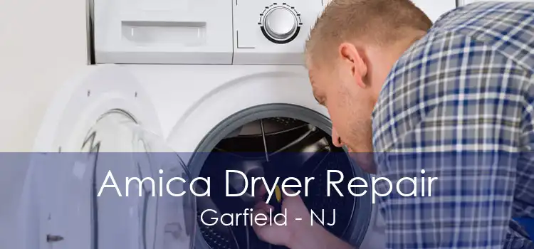 Amica Dryer Repair Garfield - NJ