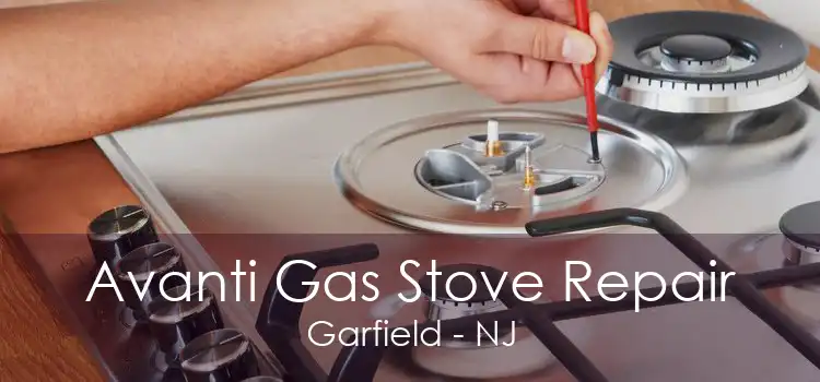 Avanti Gas Stove Repair Garfield - NJ