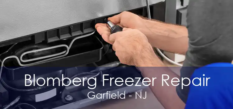 Blomberg Freezer Repair Garfield - NJ