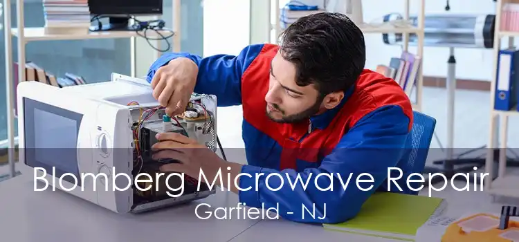 Blomberg Microwave Repair Garfield - NJ