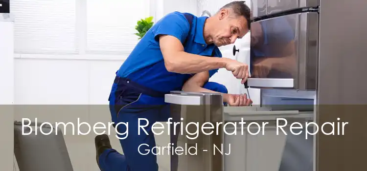 Blomberg Refrigerator Repair Garfield - NJ