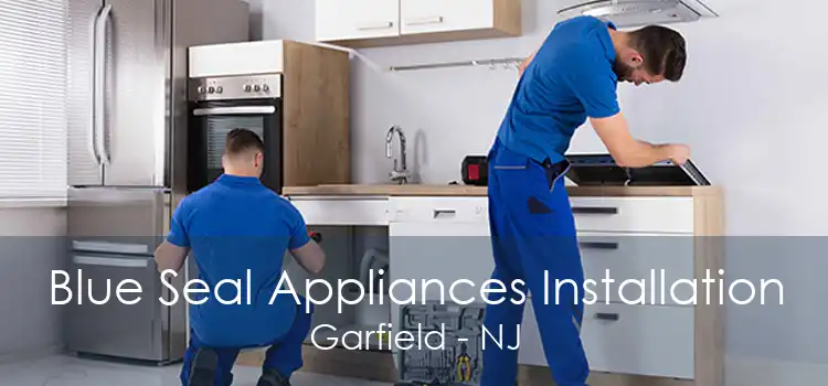 Blue Seal Appliances Installation Garfield - NJ
