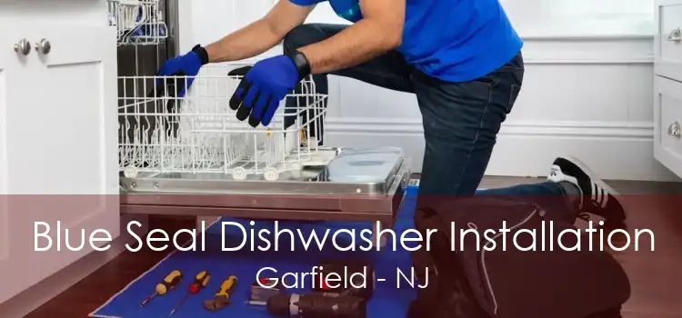 Blue Seal Dishwasher Installation Garfield - NJ