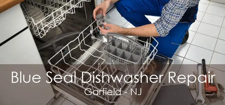 Blue Seal Dishwasher Repair Garfield - NJ