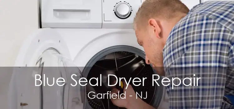 Blue Seal Dryer Repair Garfield - NJ
