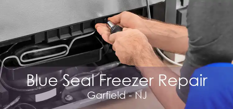 Blue Seal Freezer Repair Garfield - NJ