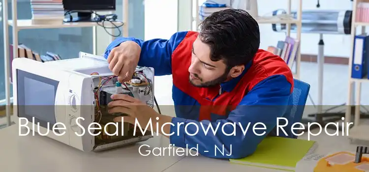 Blue Seal Microwave Repair Garfield - NJ