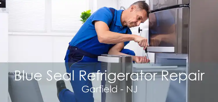 Blue Seal Refrigerator Repair Garfield - NJ