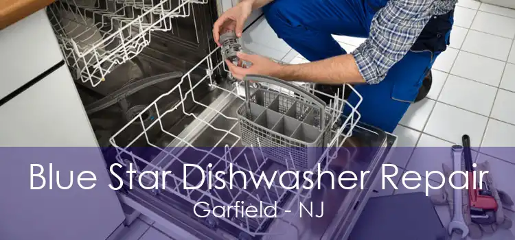 Blue Star Dishwasher Repair Garfield - NJ
