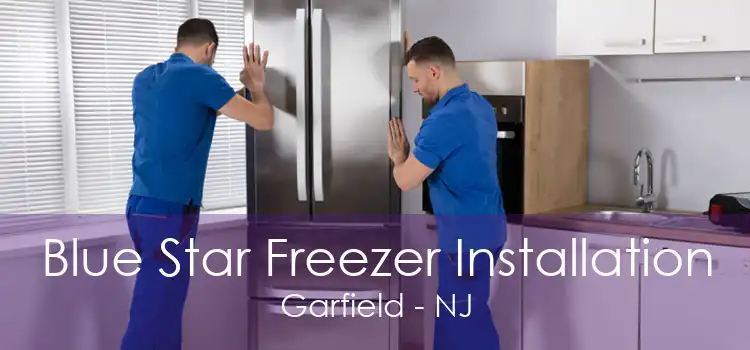 Blue Star Freezer Installation Garfield - NJ