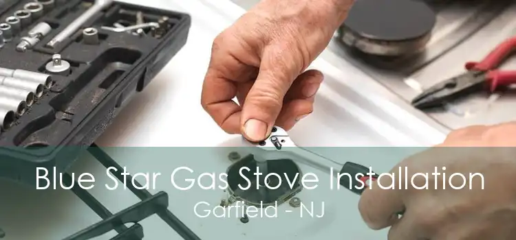 Blue Star Gas Stove Installation Garfield - NJ