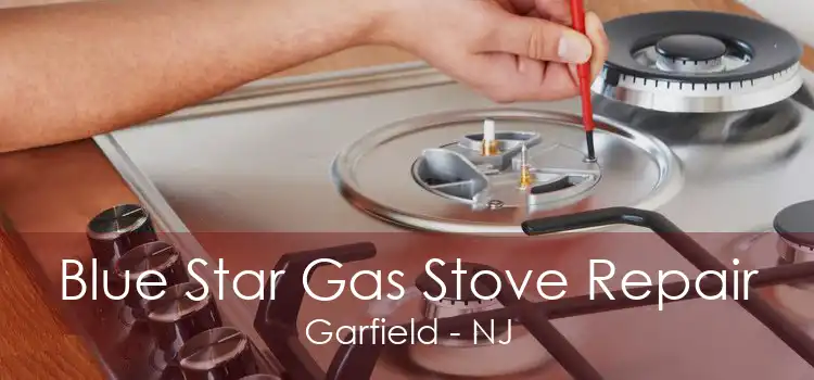 Blue Star Gas Stove Repair Garfield - NJ