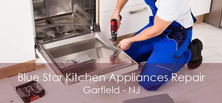 Blue Star Kitchen Appliances Repair Garfield - NJ