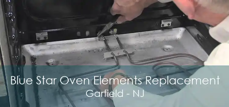 Blue Star Oven Elements Replacement Garfield - NJ