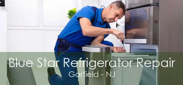 Blue Star Refrigerator Repair Garfield - NJ