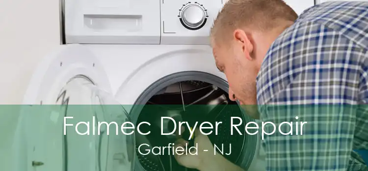 Falmec Dryer Repair Garfield - NJ