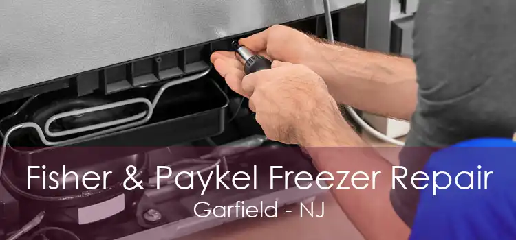 Fisher & Paykel Freezer Repair Garfield - NJ