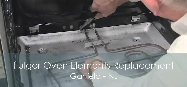 Fulgor Oven Elements Replacement Garfield - NJ