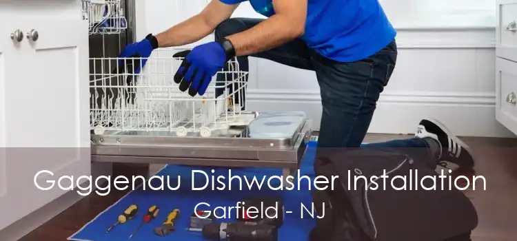 Gaggenau Dishwasher Installation Garfield - NJ