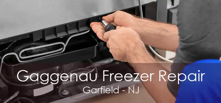 Gaggenau Freezer Repair Garfield - NJ