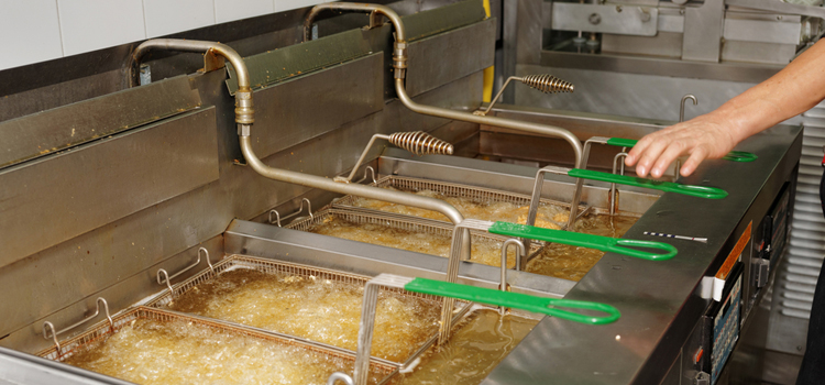 Beko Commercial Fryer Repair in Garfield, NJ
