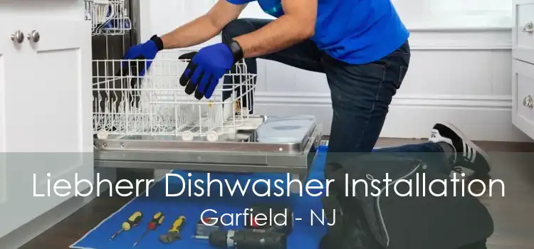 Liebherr Dishwasher Installation Garfield - NJ