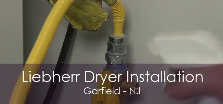 Liebherr Dryer Installation Garfield - NJ