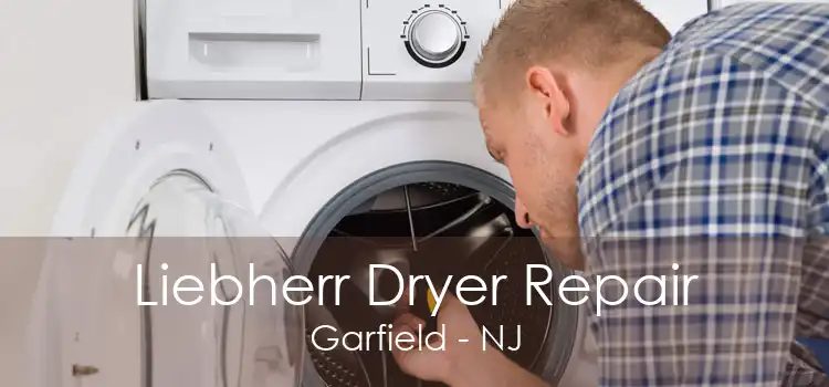 Liebherr Dryer Repair Garfield - NJ