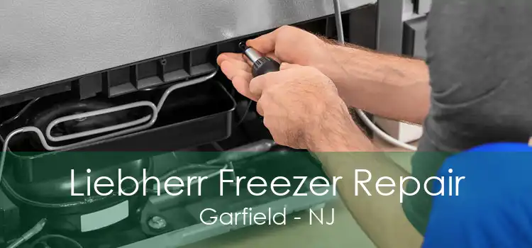 Liebherr Freezer Repair Garfield - NJ