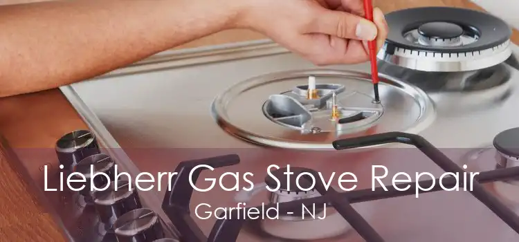 Liebherr Gas Stove Repair Garfield - NJ