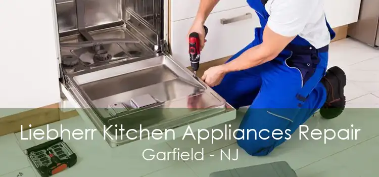 Liebherr Kitchen Appliances Repair Garfield - NJ