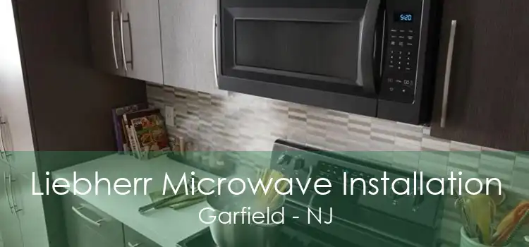 Liebherr Microwave Installation Garfield - NJ