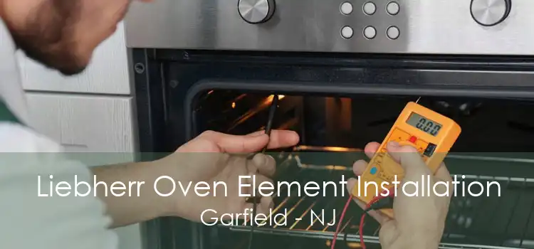 Liebherr Oven Element Installation Garfield - NJ