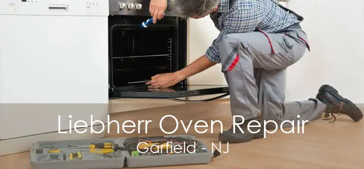 Liebherr Oven Repair Garfield - NJ