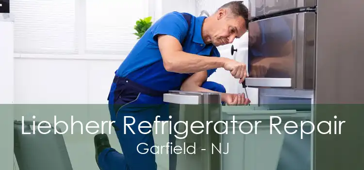 Liebherr Refrigerator Repair Garfield - NJ