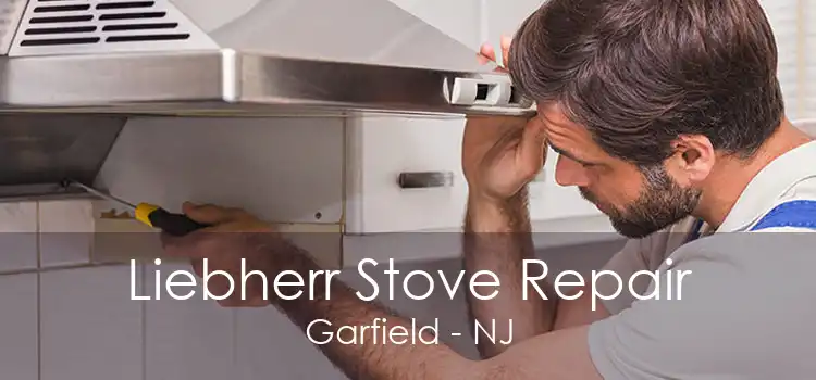 Liebherr Stove Repair Garfield - NJ